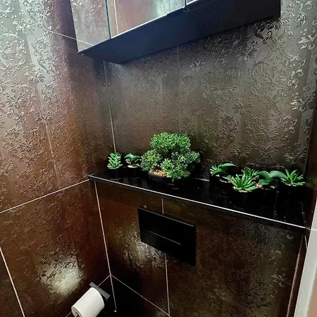 Apartment Ewita *